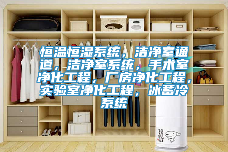 恒溫恒濕系統(tǒng)，潔凈室通道，潔凈室系統(tǒng)，手術(shù)室凈化工程，廠房凈化工程，實(shí)驗(yàn)室凈化工程，冰蓄冷系統(tǒng)
