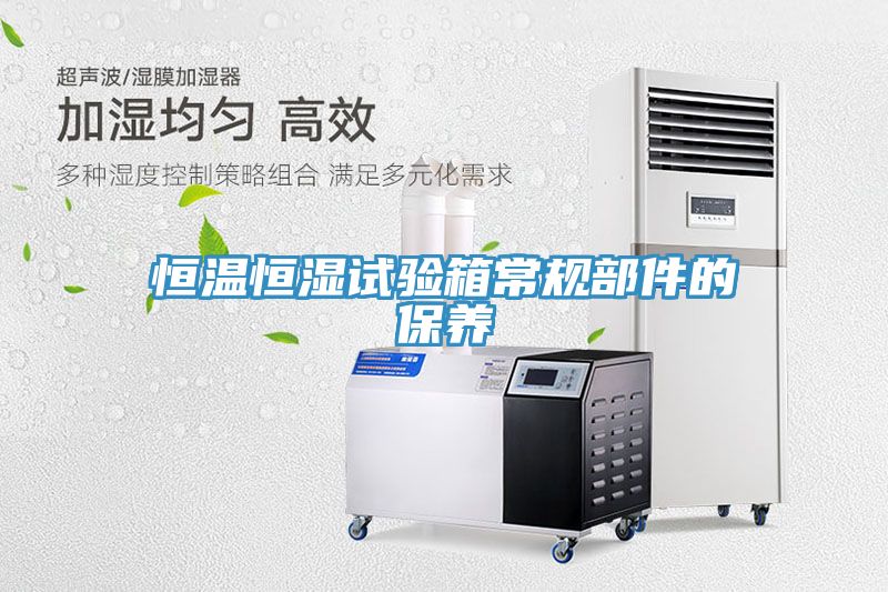 恒溫恒濕試驗箱常規(guī)部件的保養(yǎng)