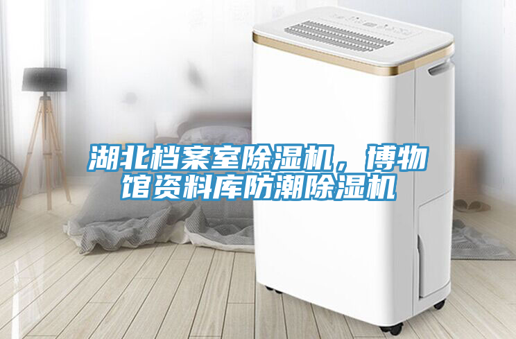 湖北檔案室除濕機，博物館資料庫防潮除濕機