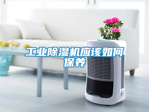 工業(yè)除濕機(jī)應(yīng)該如何保養(yǎng)