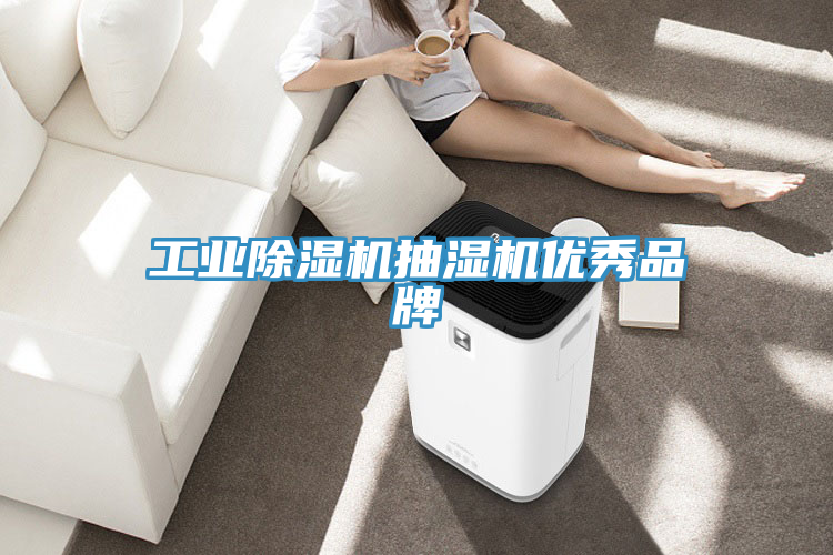 工業(yè)除濕機(jī)抽濕機(jī)優(yōu)秀品牌
