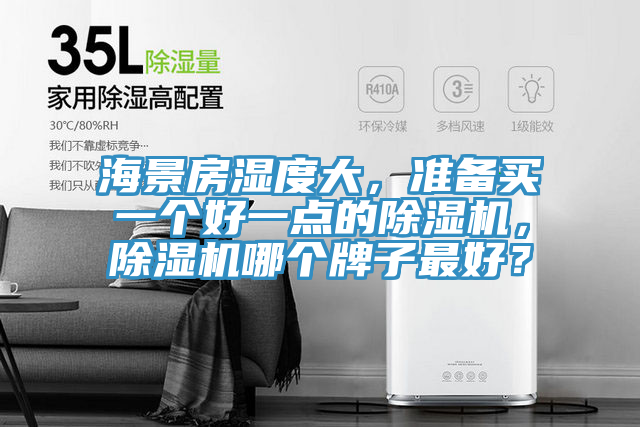 海景房濕度大，準(zhǔn)備買一個(gè)好一點(diǎn)的除濕機(jī)，除濕機(jī)哪個(gè)牌子最好？