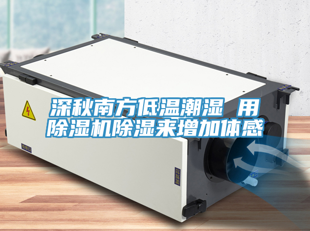 深秋南方低溫潮濕 用除濕機(jī)除濕來增加體感
