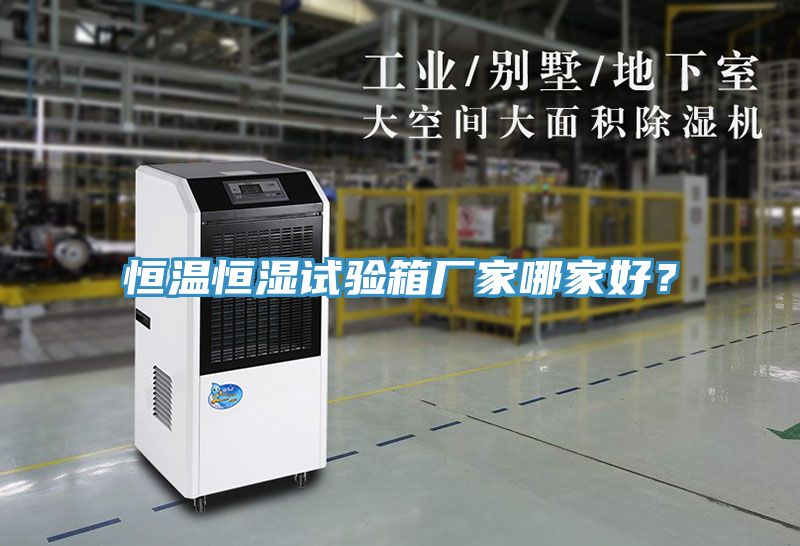 恒溫恒濕試驗(yàn)箱廠家哪家好？