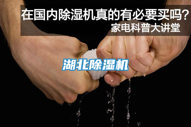 湖北除濕機