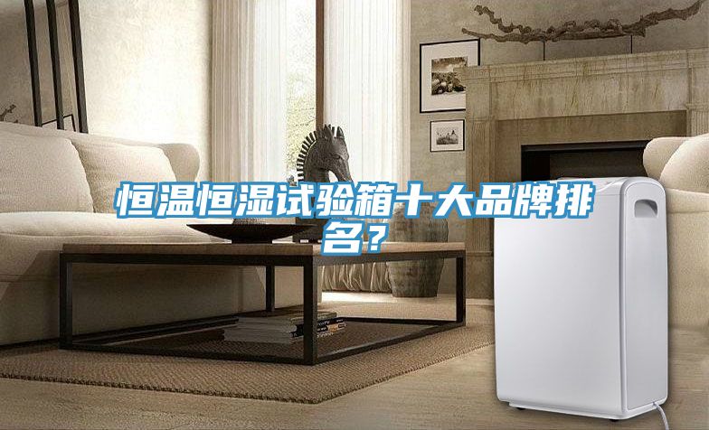 恒溫恒濕試驗(yàn)箱十大品牌排名？