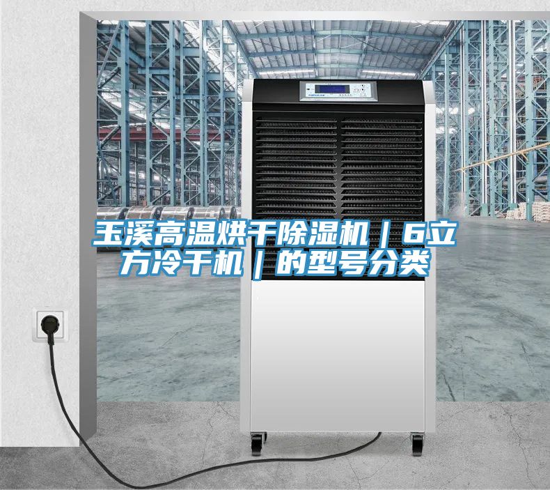 玉溪高溫烘干除濕機(jī)｜6立方冷干機(jī)｜的型號分類