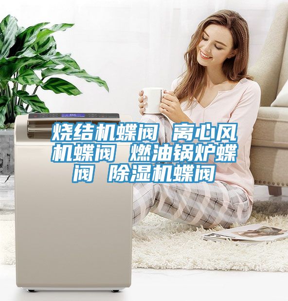 燒結(jié)機蝶閥 離心風機蝶閥 燃油鍋爐蝶閥 除濕機蝶閥