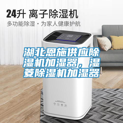 湖北恩施供應除濕機加濕器，濕菱除濕機加濕器