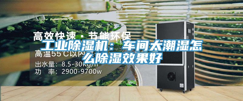 工業(yè)除濕機(jī)：車間太潮濕怎么除濕效果好