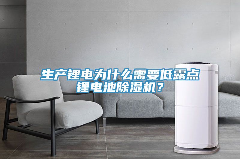 生產(chǎn)鋰電為什么需要低露點(diǎn)鋰電池除濕機(jī)？