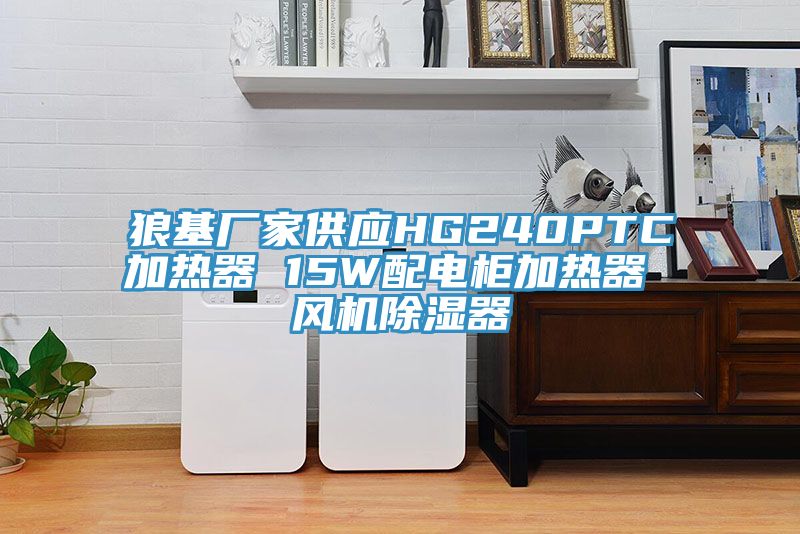 狼基廠家供應(yīng)HG240PTC加熱器 15W配電柜加熱器 風(fēng)機(jī)除濕器