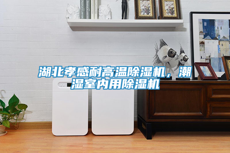 湖北孝感耐高溫除濕機，潮濕室內(nèi)用除濕機