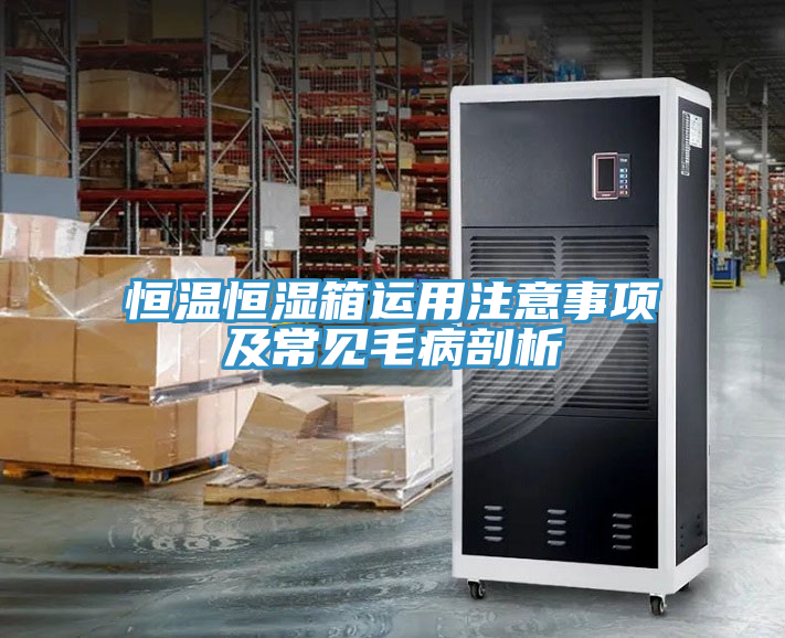 恒溫恒濕箱運(yùn)用注意事項(xiàng)及常見毛病剖析