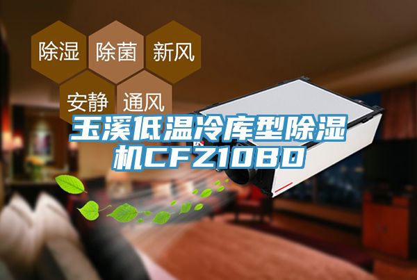 玉溪低溫冷庫型除濕機(jī)CFZ10BD