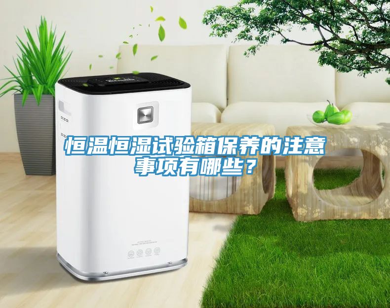 恒溫恒濕試驗(yàn)箱保養(yǎng)的注意事項(xiàng)有哪些？