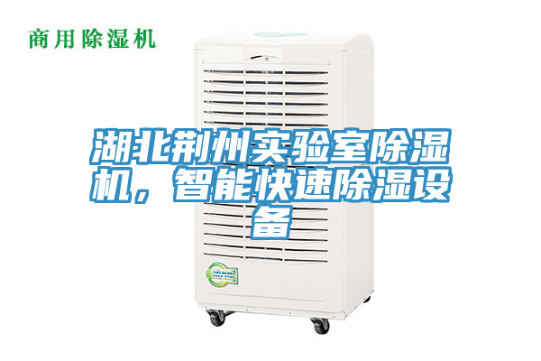 湖北荊州實驗室除濕機，智能快速除濕設備
