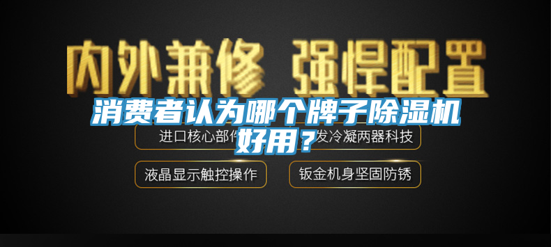 消費(fèi)者認(rèn)為哪個牌子除濕機(jī)好用？