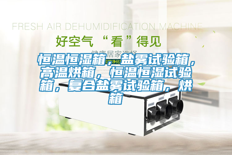恒溫恒濕箱，鹽霧試驗箱，高溫烘箱，恒溫恒濕試驗箱，復(fù)合鹽霧試驗箱，烘箱