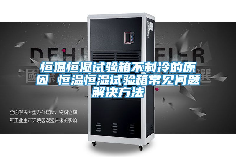 恒溫恒濕試驗(yàn)箱不制冷的原因 恒溫恒濕試驗(yàn)箱常見問題解決方法