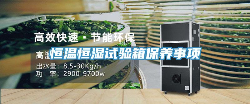 恒溫恒濕試驗(yàn)箱保養(yǎng)事項(xiàng)