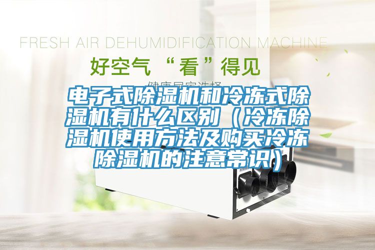 電子式除濕機和冷凍式除濕機有什么區(qū)別（冷凍除濕機使用方法及購買冷凍除濕機的注意常識）