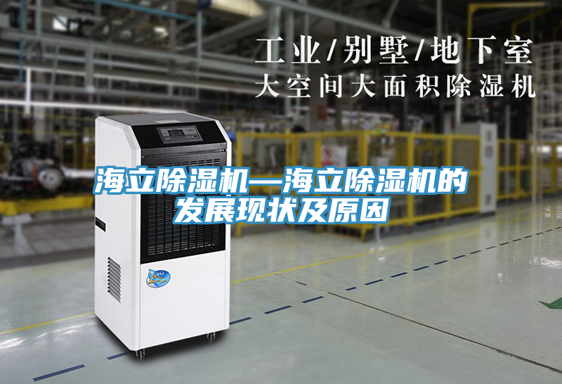 海立除濕機(jī)—海立除濕機(jī)的發(fā)展現(xiàn)狀及原因