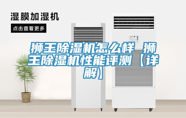 獅王除濕機(jī)怎么樣 獅王除濕機(jī)性能評測【詳解】