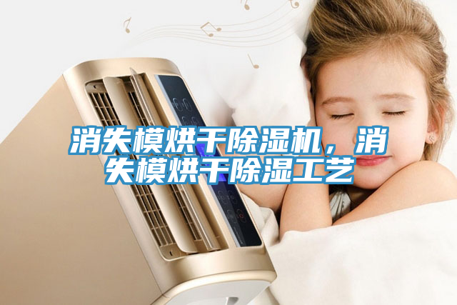 消失模烘干除濕機(jī)，消失模烘干除濕工藝