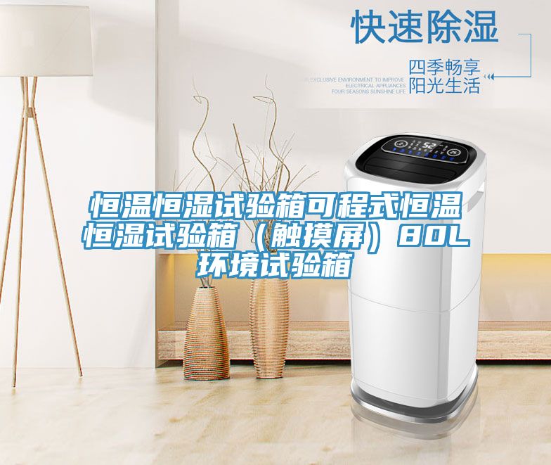 恒溫恒濕試驗箱可程式恒溫恒濕試驗箱（觸摸屏）80L環(huán)境試驗箱