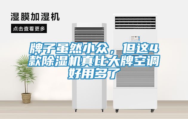 牌子雖然小眾，但這4款除濕機(jī)真比大牌空調(diào)好用多了
