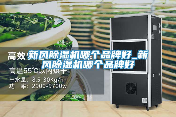 新風除濕機哪個品牌好_新風除濕機哪個品牌好