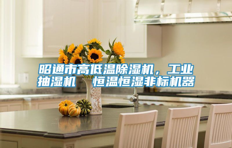 昭通市高低溫除濕機(jī)，工業(yè)抽濕機(jī)  恒溫恒濕非標(biāo)機(jī)器