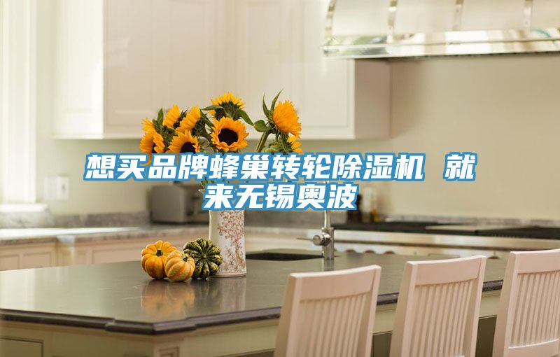 想買品牌蜂巢轉(zhuǎn)輪除濕機(jī) 就來(lái)無(wú)錫奧波