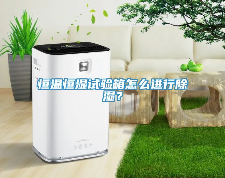 恒溫恒濕試驗(yàn)箱怎么進(jìn)行除濕？