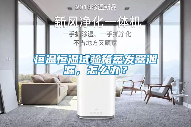 恒溫恒濕試驗箱蒸發(fā)器泄漏，怎么辦？
