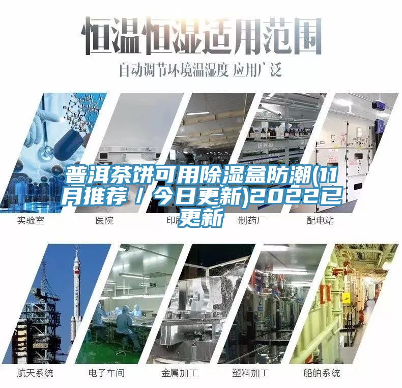 普洱茶餅可用除濕盒防潮(11月推薦／今日更新)2022已更新