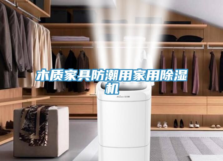 木質(zhì)家具防潮用家用除濕機(jī)