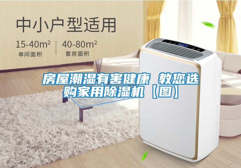 房屋潮濕有害健康 教您選購家用除濕機(jī)【圖】