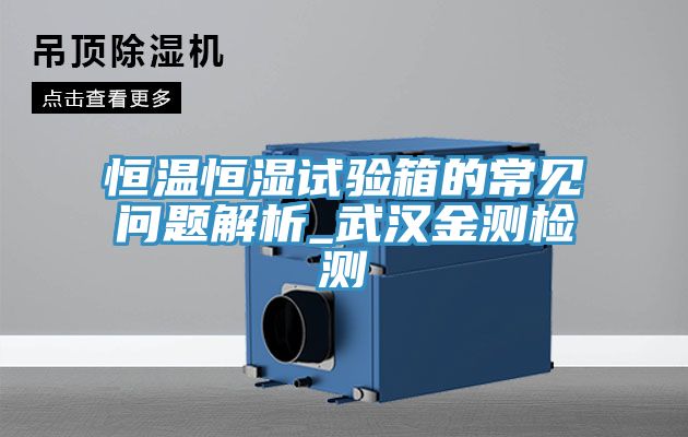 恒溫恒濕試驗(yàn)箱的常見問題解析_武漢金測檢測