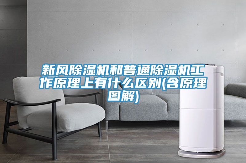 新風除濕機和普通除濕機工作原理上有什么區(qū)別(含原理圖解)
