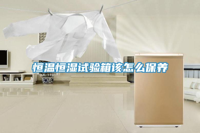 恒溫恒濕試驗箱該怎么保養(yǎng)