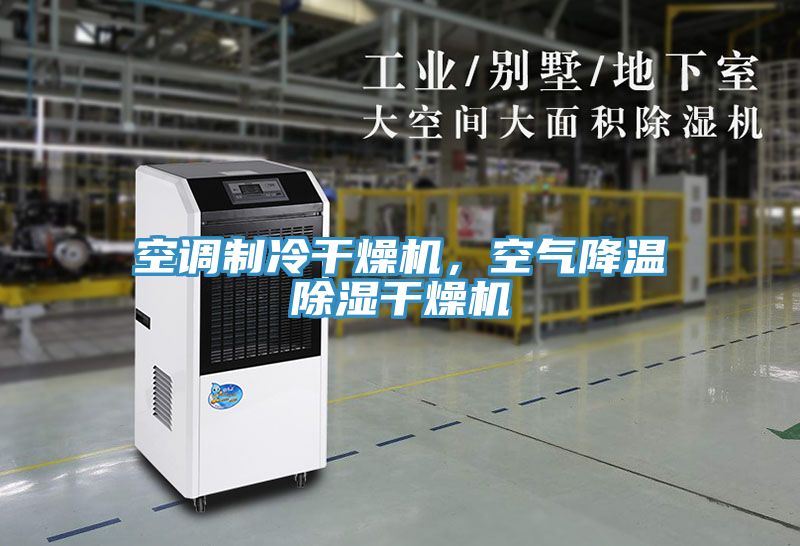 空調(diào)制冷干燥機(jī)，空氣降溫除濕干燥機(jī)