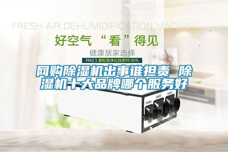 網(wǎng)購除濕機(jī)出事誰擔(dān)責(zé) 除濕機(jī)十大品牌哪個服務(wù)好