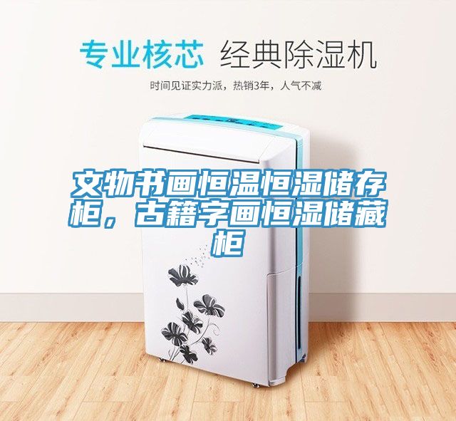 文物書(shū)畫(huà)恒溫恒濕儲(chǔ)存柜，古籍字畫(huà)恒濕儲(chǔ)藏柜