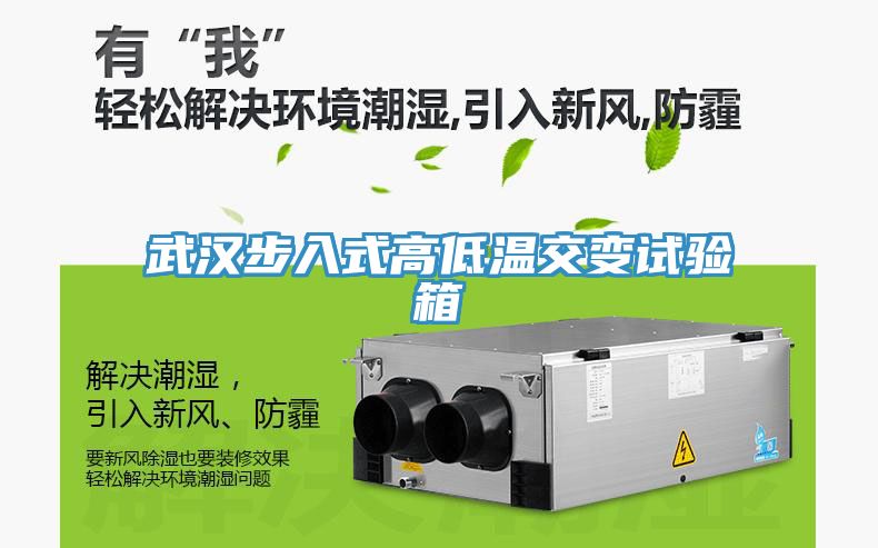 武漢步入式高低溫交變試驗(yàn)箱
