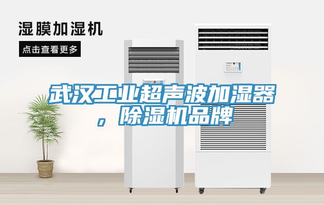武漢工業(yè)超聲波加濕器，除濕機(jī)品牌