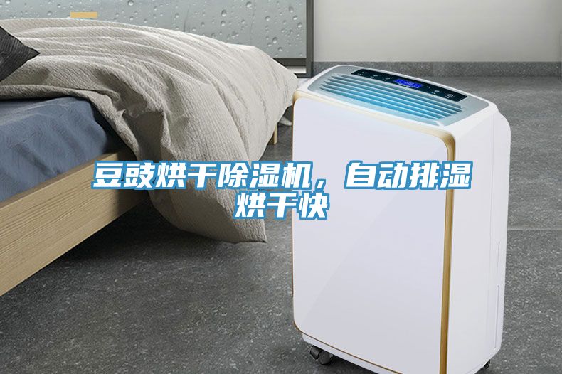 豆豉烘干除濕機，自動排濕烘干快