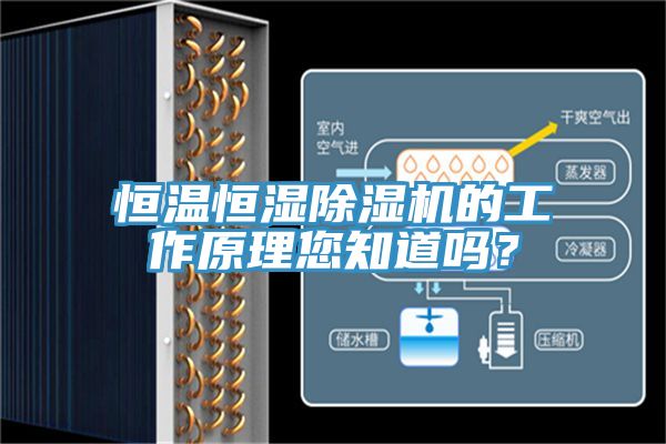 恒溫恒濕除濕機的工作原理您知道嗎？