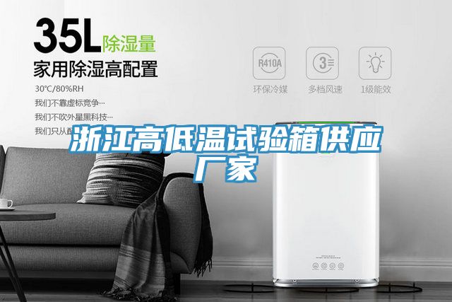 浙江高低溫試驗箱供應(yīng)廠家